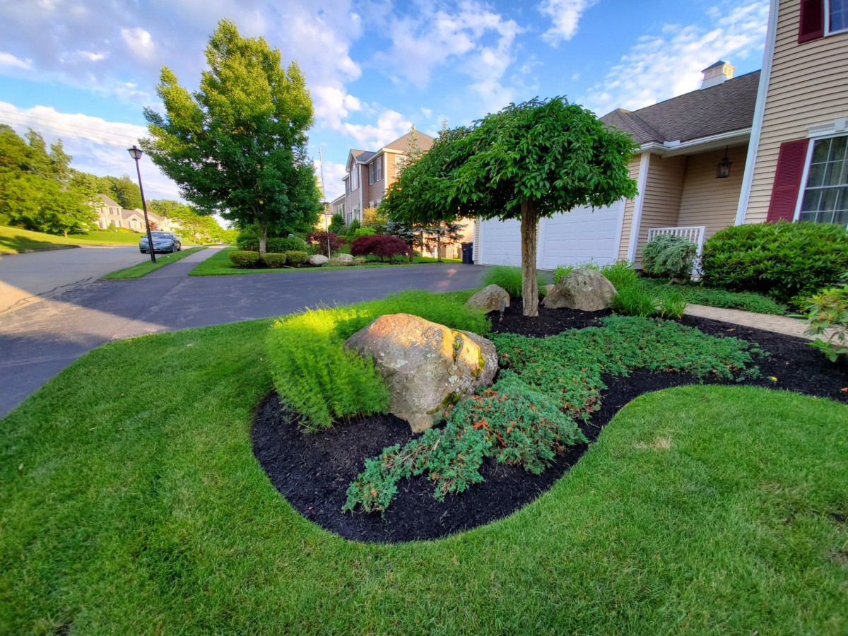 lawn care services displayed on a maintained lawn